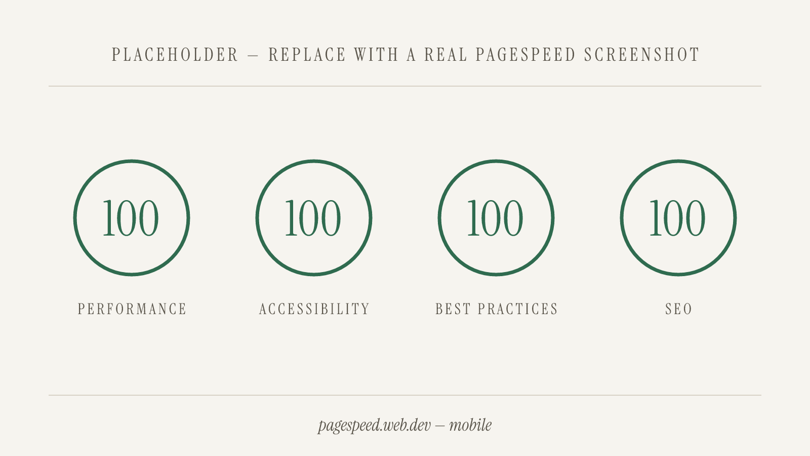 PageSpeed Insights mobile score placeholder showing four 100 rings — replace with the real audit screenshot